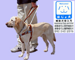 補助犬同伴